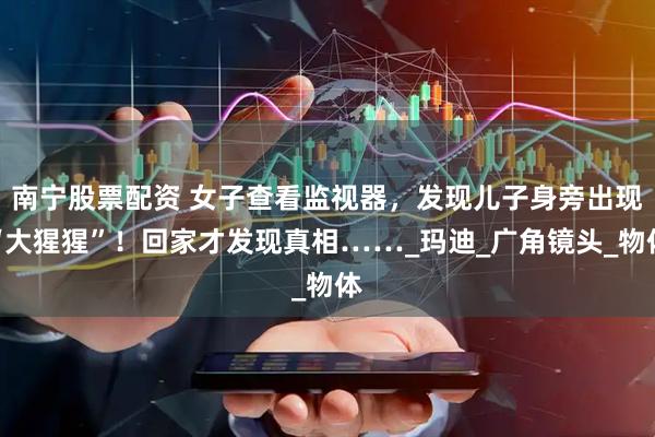 南宁股票配资 女子查看监视器，发现儿子身旁出现“大猩猩”！回家才发现真相……_玛迪_广角镜头_物体
